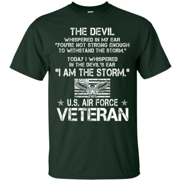 US Air Force Veterans T-shirts & Hoodie for Veteran's Day - Image 2