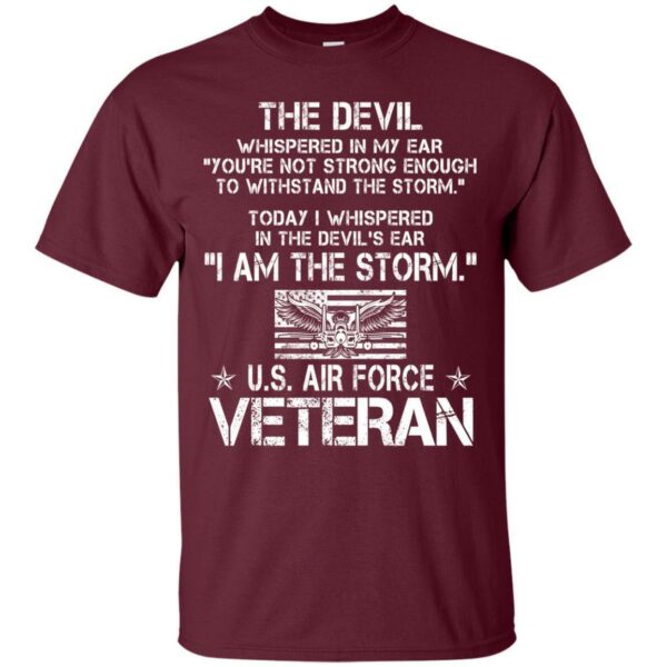 US Air Force Veterans T-shirts & Hoodie for Veteran's Day - Image 4